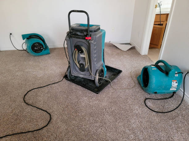 Best Water damage cleanup near me  in Stokesdale, NC