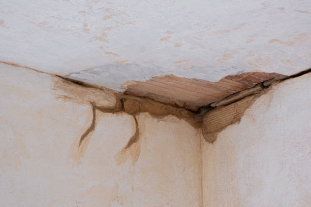 Best 24/7 water damage repair  in Stokesdale, NC