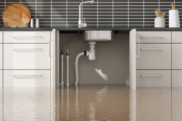 Best Flooded house restoration  in Stokesdale, NC