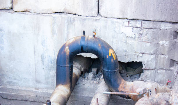Best Water damage cleanup near me  in Stokesdale, NC